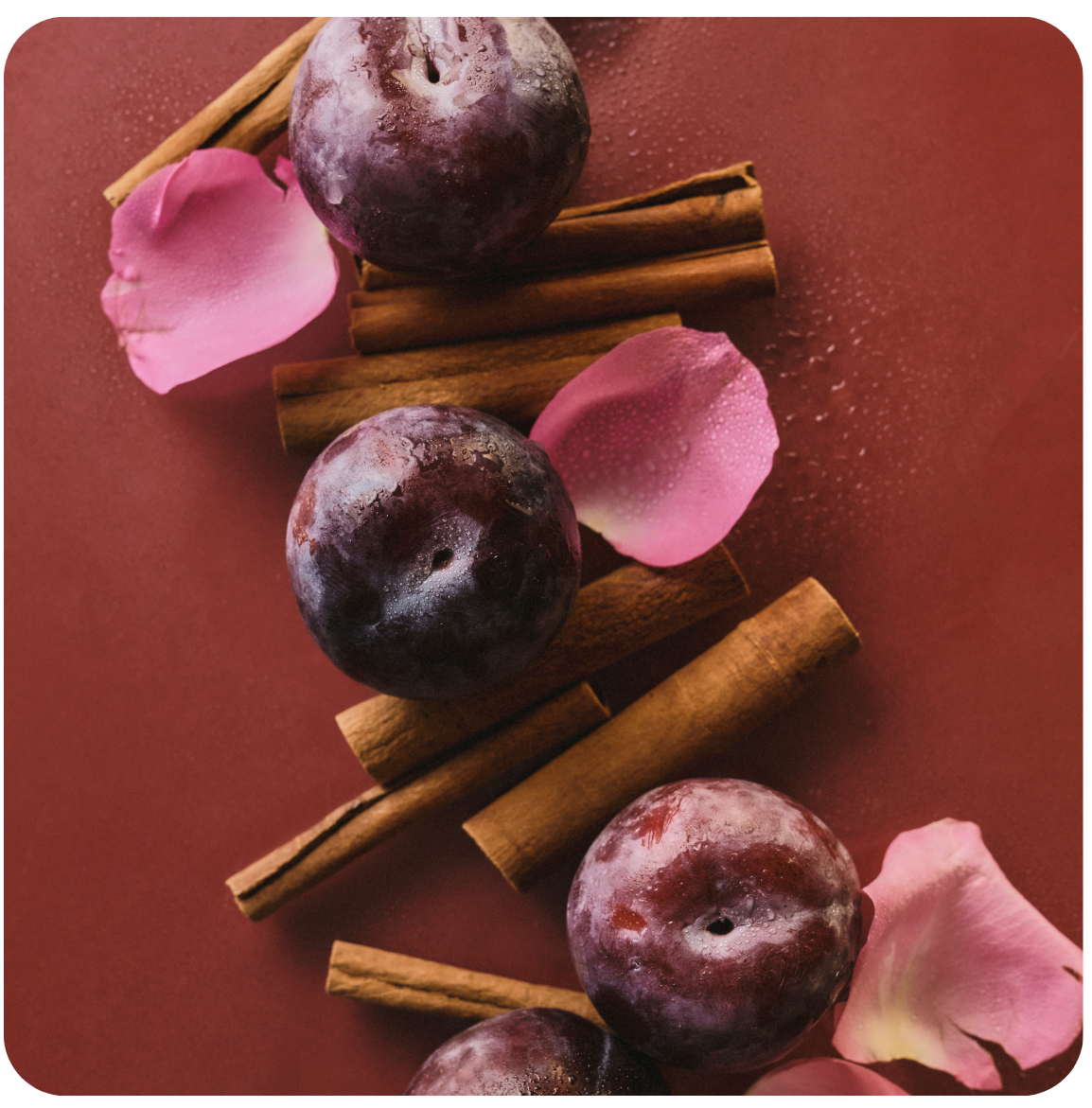 Roter Hintergrund und Zimtstangen liegen herum, Rosenblätter und Pflaumen.